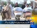 Headlines-30 2014-1100