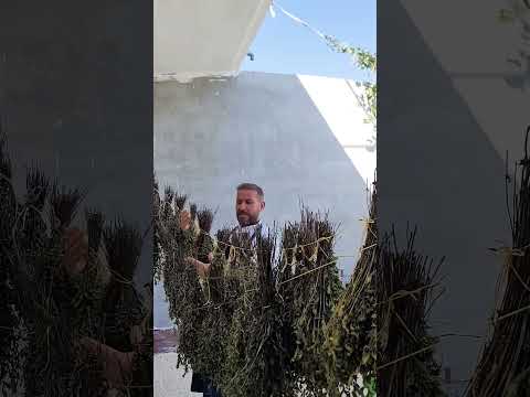 مونة النعناع أسهل أنواع المونة