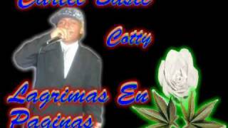 Lagrimas en paginas (Cartel Basic)tontito