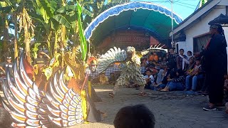 JARANAN BUTO || TARI BURUNG GARUDA || AGUNG WILIS CLURING