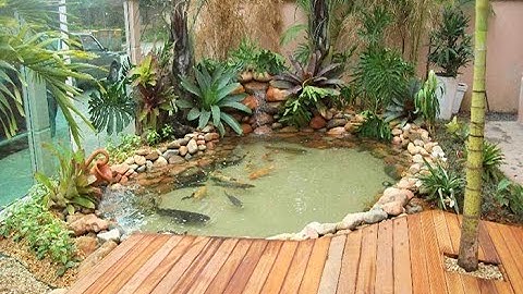 Tiểu cảnh hồ cá koi mini | Kiến trúc xanh Bình An