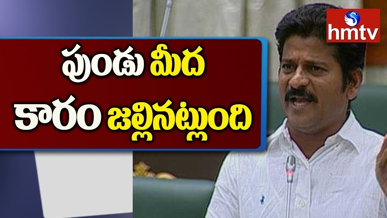 Congress Leader Revanth Reddy Responds on Union Budget 2019 | hmtv