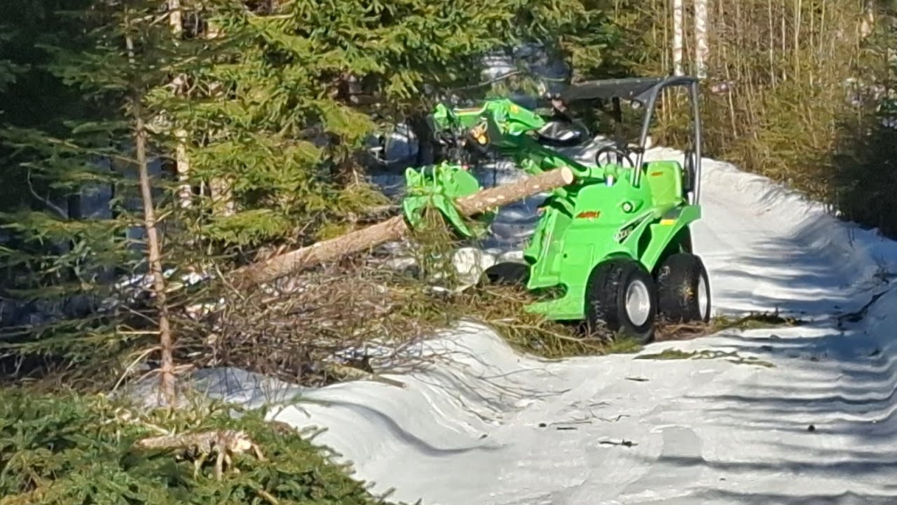 Avantilla polttopuita metsästä LIVE