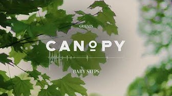 Babysteps Youtube