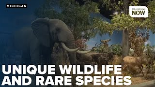 EXPLORING MICHIGAN Visit a unique wildlife center with rare species conservation classes