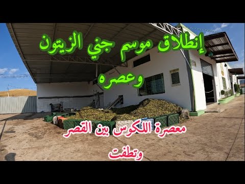 معصرة زيت الزيتون اللكوس بين القصر الكبير وتطفت معصرة زيت الزيتون اللكوس بين القصر الكبير وتطفت