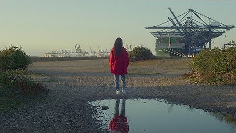 No Turning Back - Decarbonisation in the Shipping Industry