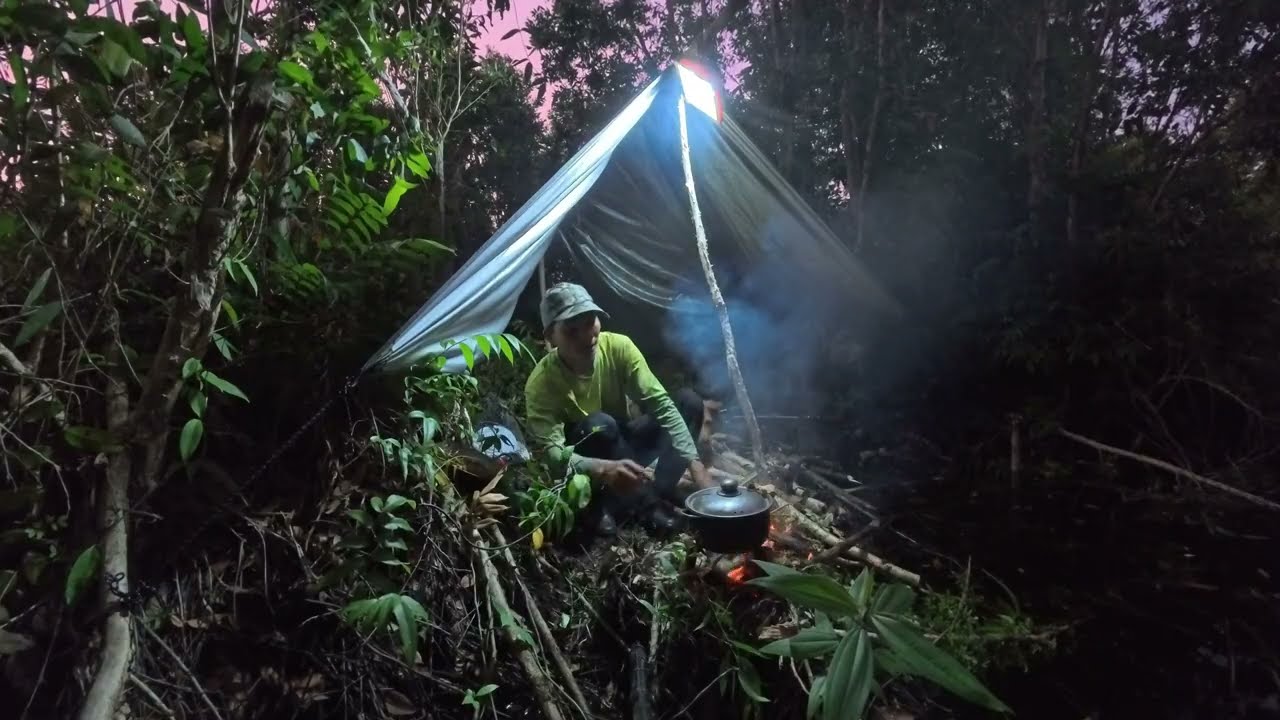 Overnight Survival Adventure | Solo Camping Fishing & Cooking With My Loyal Dog!