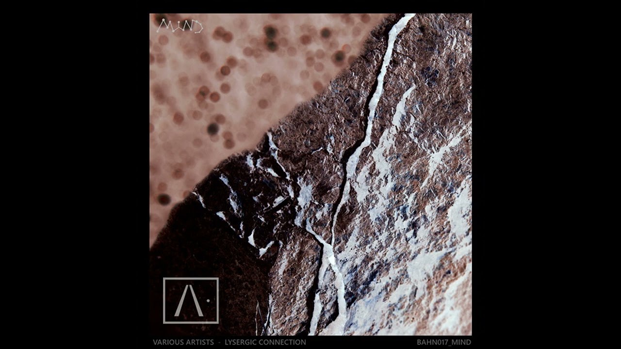 Guarda Nothing is Real, The Alchemical Theory - Stige su YouTube Guarda Nothing is Real, The Alchemical Theory - Stige su YouTube