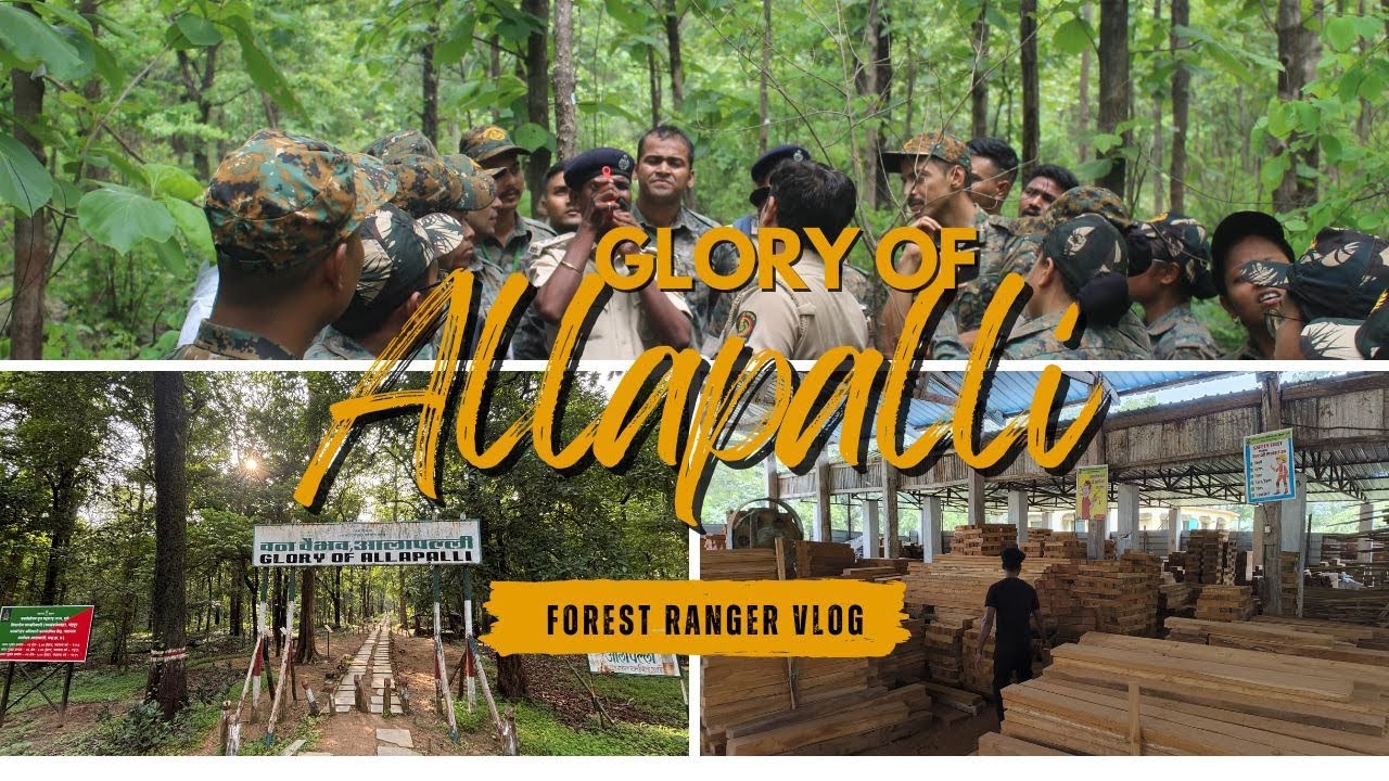 Glory of Allapalli - Day 2 Vlog- Assam Forest Ranger Trainee - YouTube