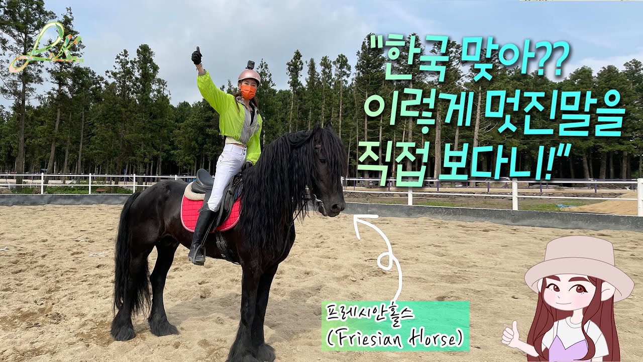 승마장이 이정도시설일줄이야? 프레시안과의 만남 ㅣ 승마인 유튜버 릴리안 vlog