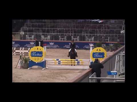 4yo Stallion Competition Opglabbeek 4yo Stallion Competition Opglabbeek