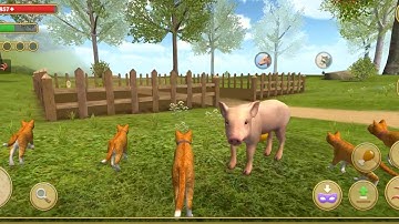 Cat Simulator 2020 #29