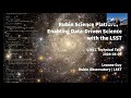 Rubin Science Platform - Enabling Data-Driven Science with the LSST