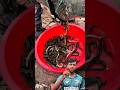 কূপ থেকে মাছ ধরার কৌশল #fishing #fish