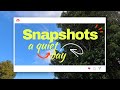 A Quiet Day | Capturing the small moments #snapshotvlog