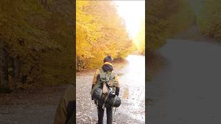 👍Solo bushcraft survival camping 🪵#survival #outdoors #bushcraft #camping #campfire #cooking #asmr