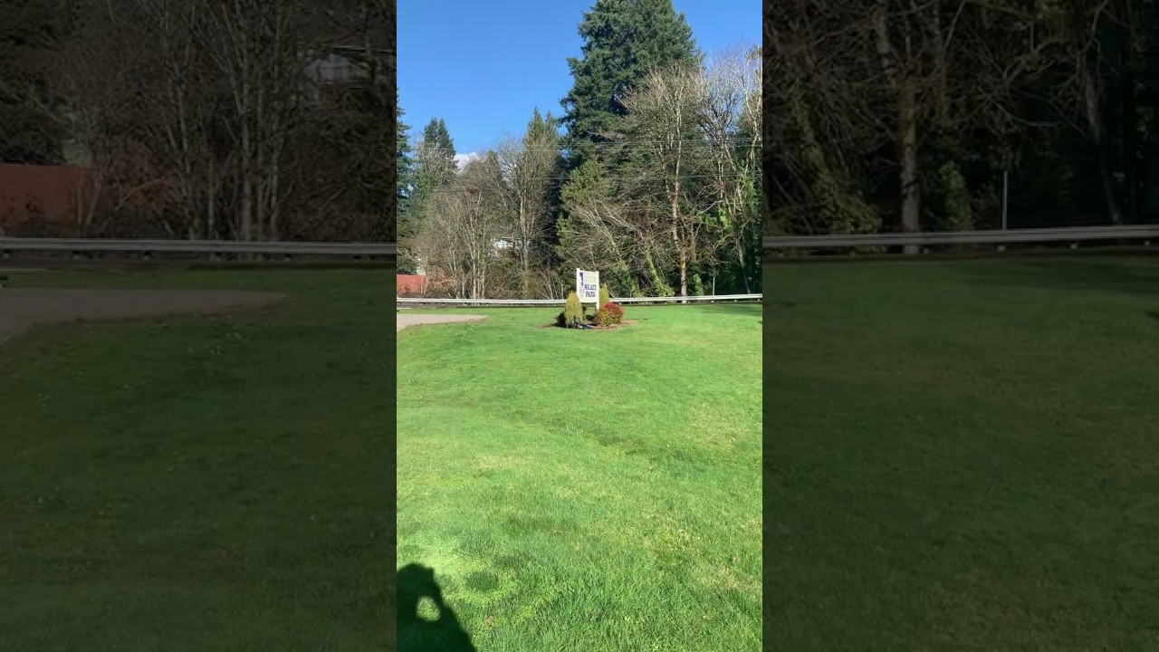 Kelso Skate Park YouTube