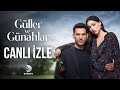 Güller Ve Günahlar Canlı Yayını 