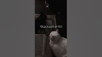 رعد الكردي | إن المتقين في جنات وعيون ادخلوها بسلامٍ آمنين  #سورة_الحجر الايه 45 - 50 #تلاوات_قصيرة