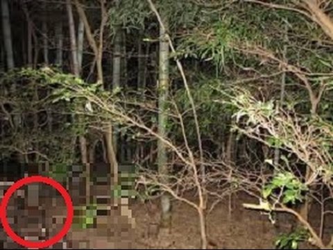 驚愕 その39 野村香ちゃん行方不明事件 世にも奇妙な事件簿 Youtube 驚愕 その39 野村香ちゃん行方不明事件 世にも奇妙な事件簿 Youtube