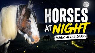 Friday Night LIVE with rescue horses
