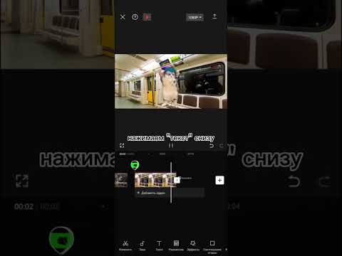 Как делать такие видео с котами (тутор)