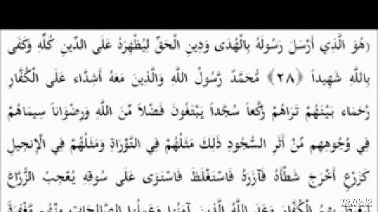 الشيخ محمود حسنين الكلحى