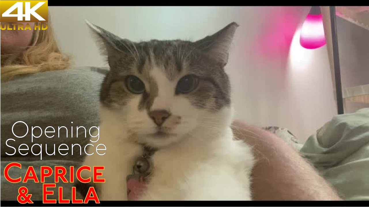 Caprice & Ella Opening Sequence (season 6, 2024)