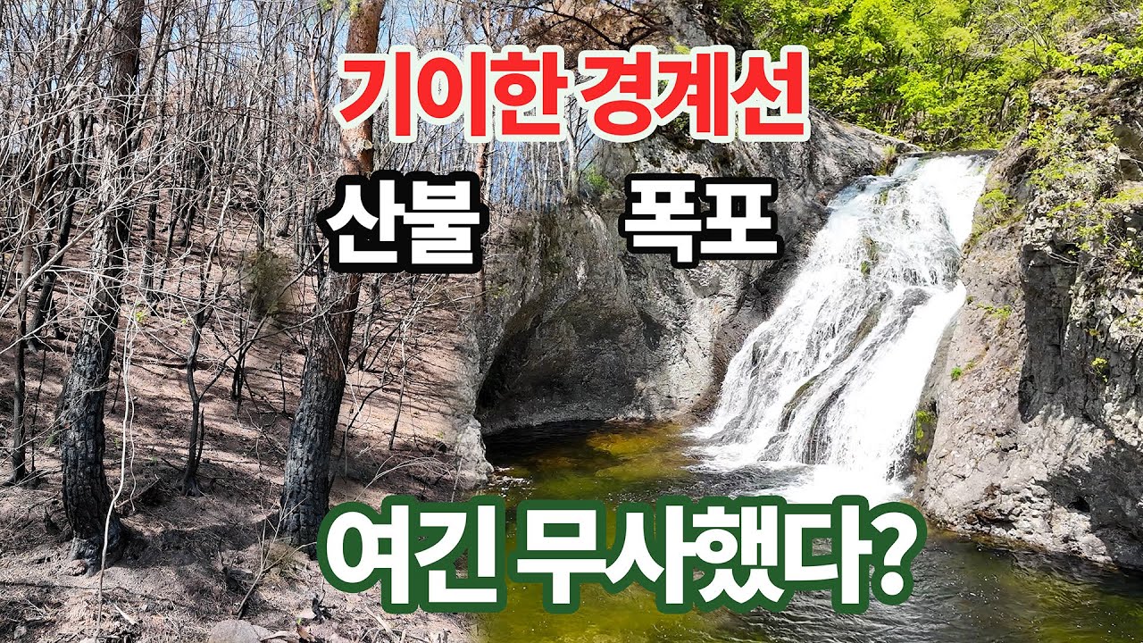 🛑한쪽은 불타고, 한쪽은 멀쩡하다? 용추협곡의 기묘한 현장!