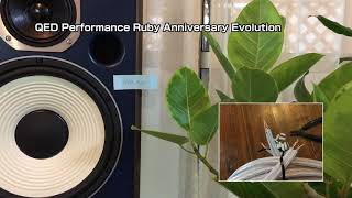 スピーカーケーブル音質比較 Pt.2 QED Performance Ruby Anniversary Evolution / AIW ウェスタンエレクトリック WE 16GA（復刻版）＃25