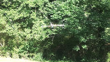 Tricopter first flight