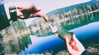 Fishing a pond right off a HIGHWAY full of TROUT