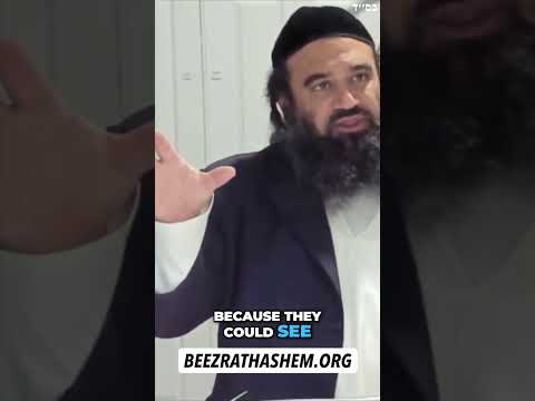 Por que Animais Atacam