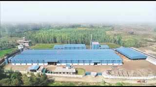 Download Lagu How do we do it? TPLUS Plywood's Manufacturing Process MP3 Download Lagu How do we do it? TPLUS Plywood's Manufacturing Process MP3