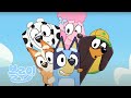 시소 전체 에피소드 블루이 한국 공식 채널 Bluey 시소 전체 에피소드 블루이 한국 공식 채널 Bluey