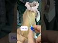 Perfect 22G Blue IV Cannula Insertion Technique! | Day 58 Clinical Skills#shorts#viral#safai#safi