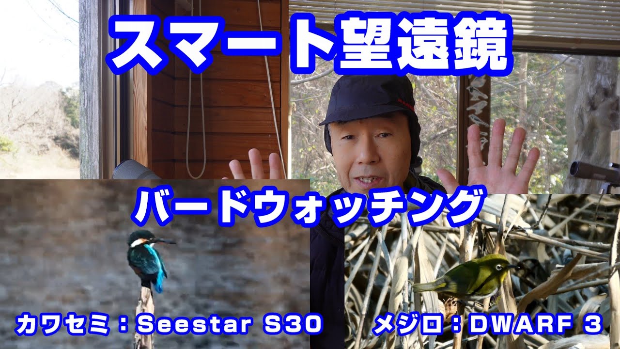 Smart Telescope Bird Watching Kingfisher: Seestar S30 Japanese