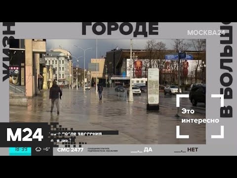 "Жизнь в большом городе": "последствия для экологии" - Москва 24