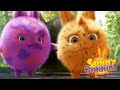 Sunny Bunnies | Roupas coloridas | Desenhos animados | WildBrain em Português
