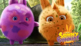 Sunny Bunnies | Roupas coloridas | Desenhos animados | WildBrain em Português