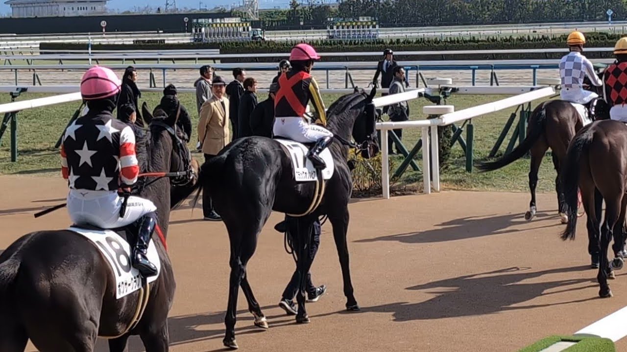 【未勝利戦2026】期待の良血馬ブラックオリンピア3戦目で初勝利！