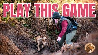The 'Find It' Game With Your Dog – Engagement &amp; Recall Games For Your Pet Spaniel