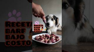 Receta a bajo costo para engordar a mi perro#dog #recetas #receta #barf #asmr #dog #perros #dogfood