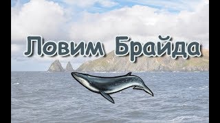 :   3.99 (Russian Fishing)    #5