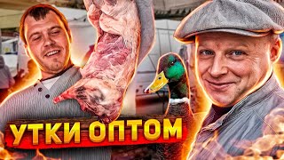 Одесса РЫНОК. Покупаем уток оптом! Хорошие цены на САЛО! Готовимся к Д/Р