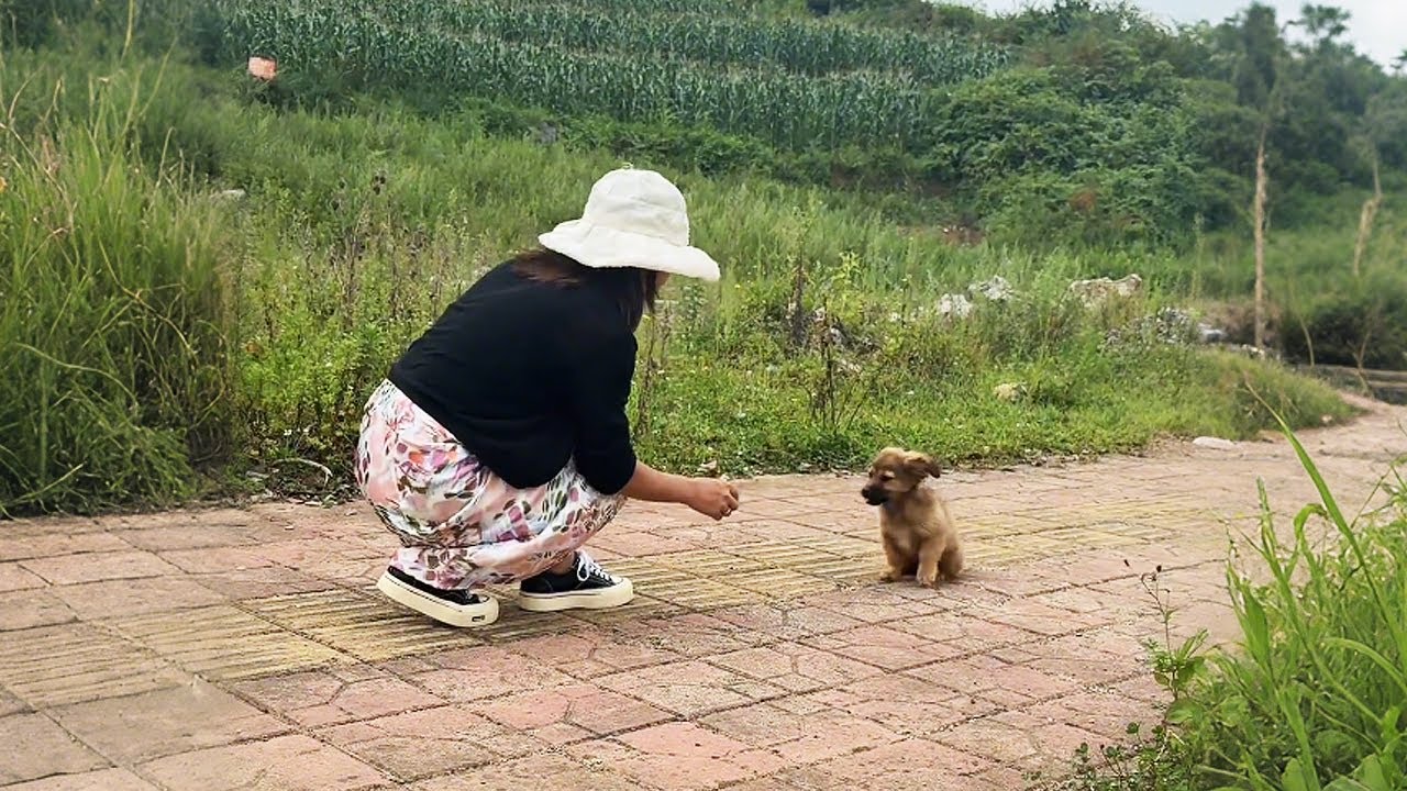 Пойдём со мной домой, там есть мясо...