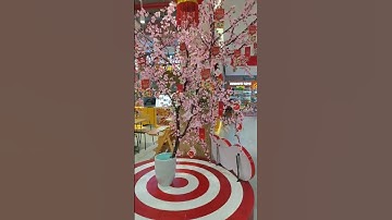 Lần Đầu biết Tết là Tết Sum Vầy #xuhuong #shorts #trend #2024 #nhạc #shortvideo#P1