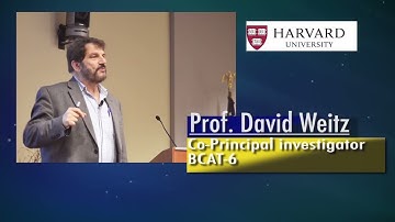 2018 ASGSR’s Binary Colloidal Alloy Test BCAT Video