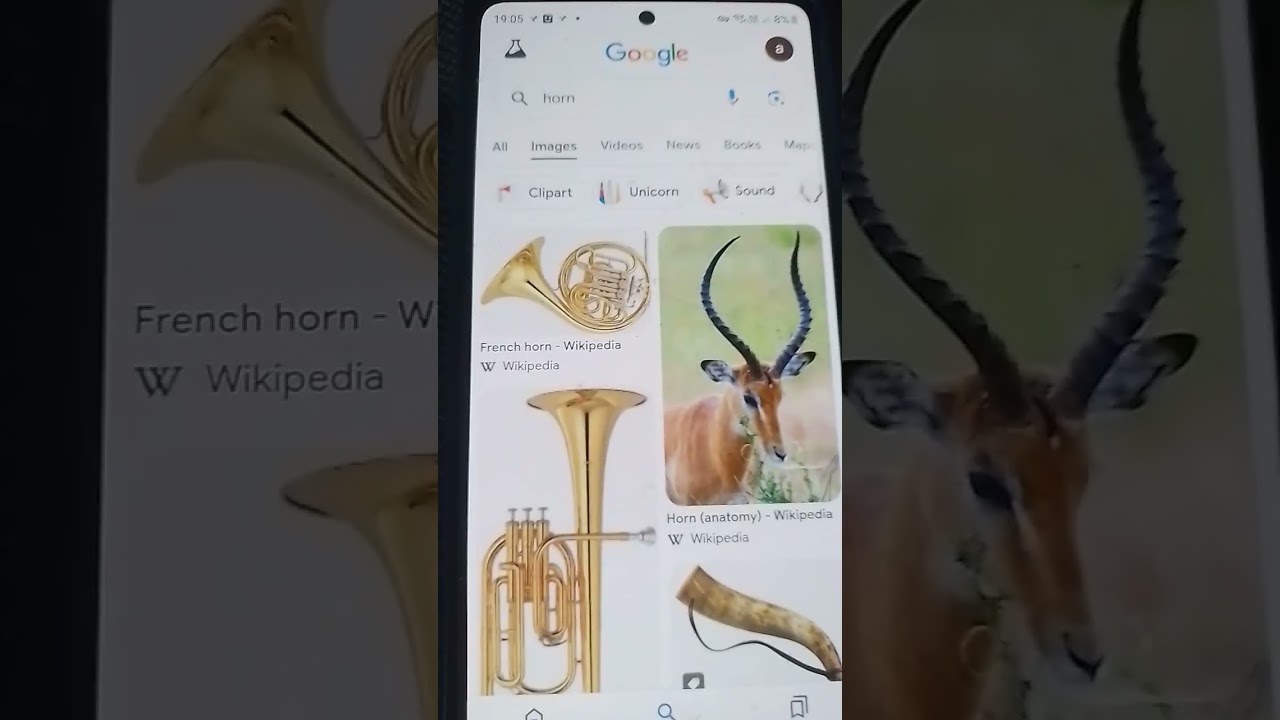 Fun 2 rhyme suno extra but is google image 